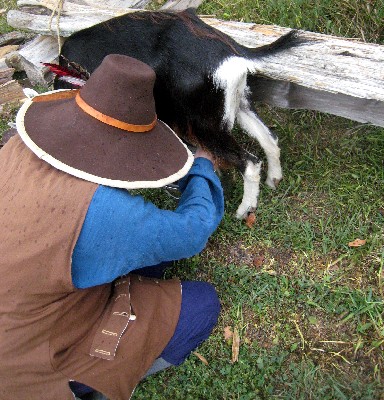 The Author Milking a Goat in Period Costume